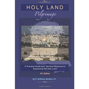 USED-Holy Land Pilgrimage: A Practical Guide and Spiritual Resource to Experience the Holy Land by Fr Anthony Sortino LC (Paperback)