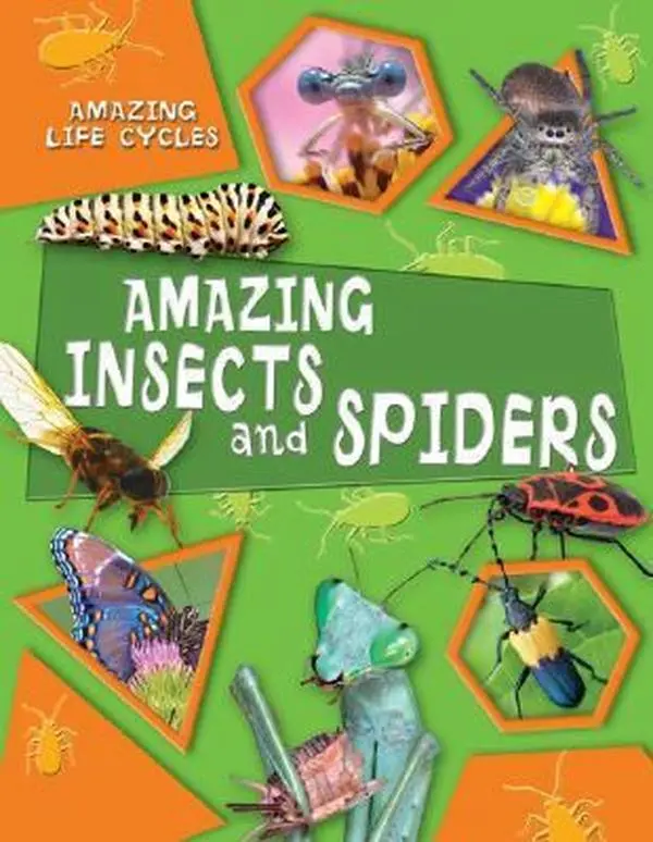 USED-Amazing Insects and Spiders (Amazing Life Cycles) by George C. McGavin (Unknown)