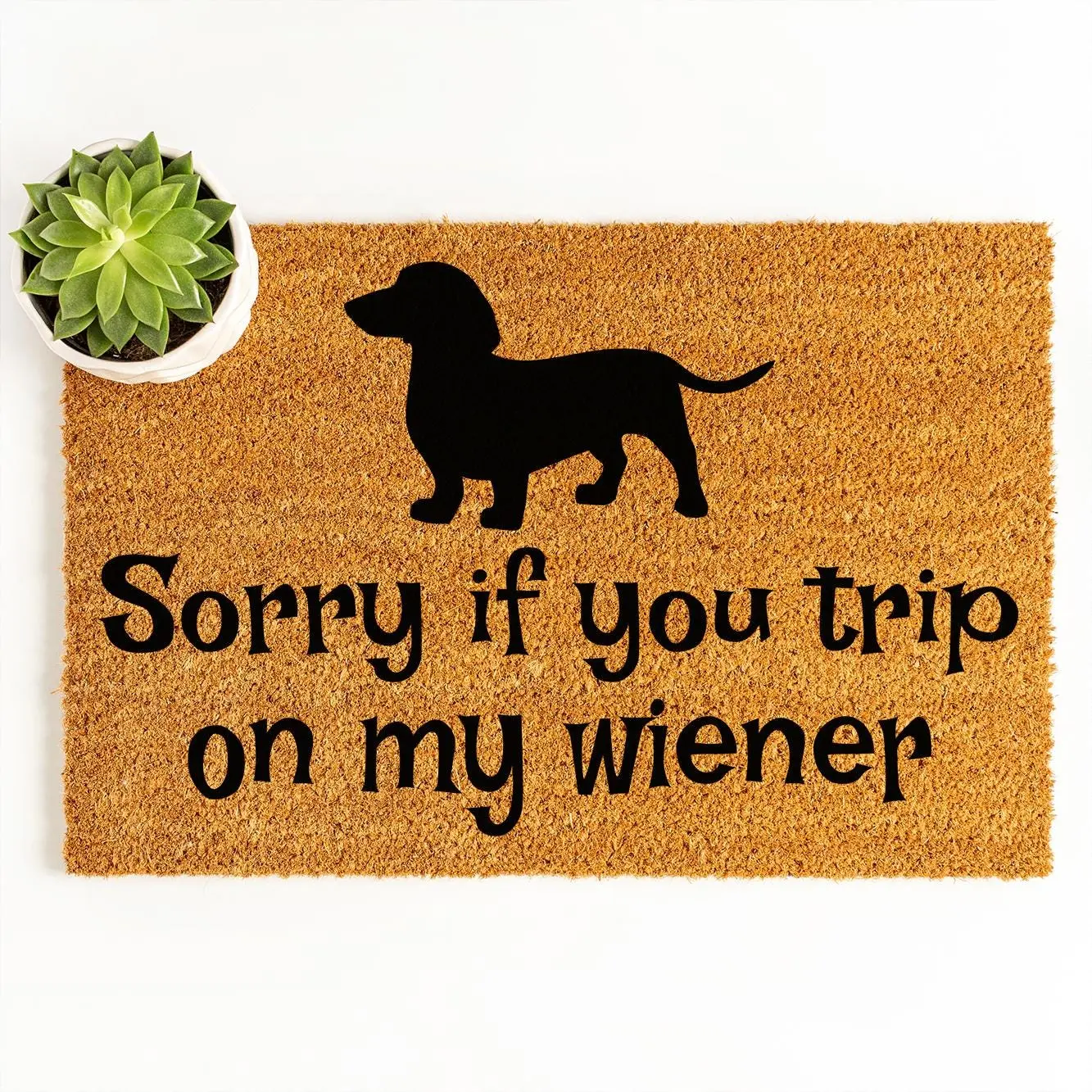 Funny Doormat - Sorry If You Trip On My Wiener - Dachshund Dog - Dog Lover - Welcome Mat - Cute Doormat - Doormats - Door Mat 3535zz