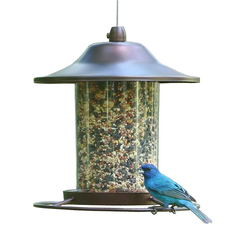 Perky-Pet Panorama Bird Feeder for Outdoor Use with 2 Lb Seed Capacity