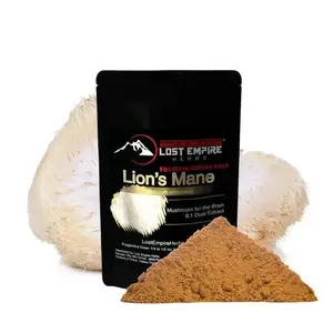 Lion's Mane Mushroom Organic 8:1 Dual Extract (30 Grams) - Nootropic for Brain Health, Memory, Concentration and Focus Healthcare