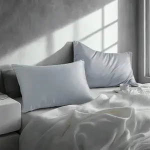 2 Pack Satin Pillowcases with Hidden Zipper, Silky Soft Pillow Covers for Hair and Skin