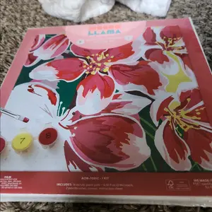paint by number kit