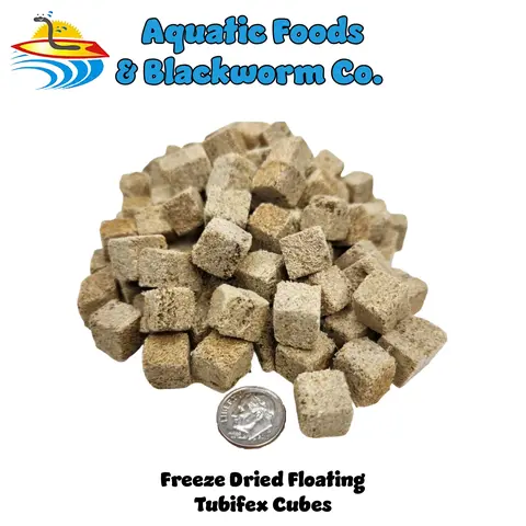 Tubifex Worm Cubes - Floating Freeze Dried Tubifex Worm Cubes, All Tropical Fish, Cichlids, Discus, Tetras, Bettas, Goldfish, Catfish, Marine Fish, Koi & Pond Fish… FREE 4-Type Wafer Mix & 12-Type Pellet Mix Included