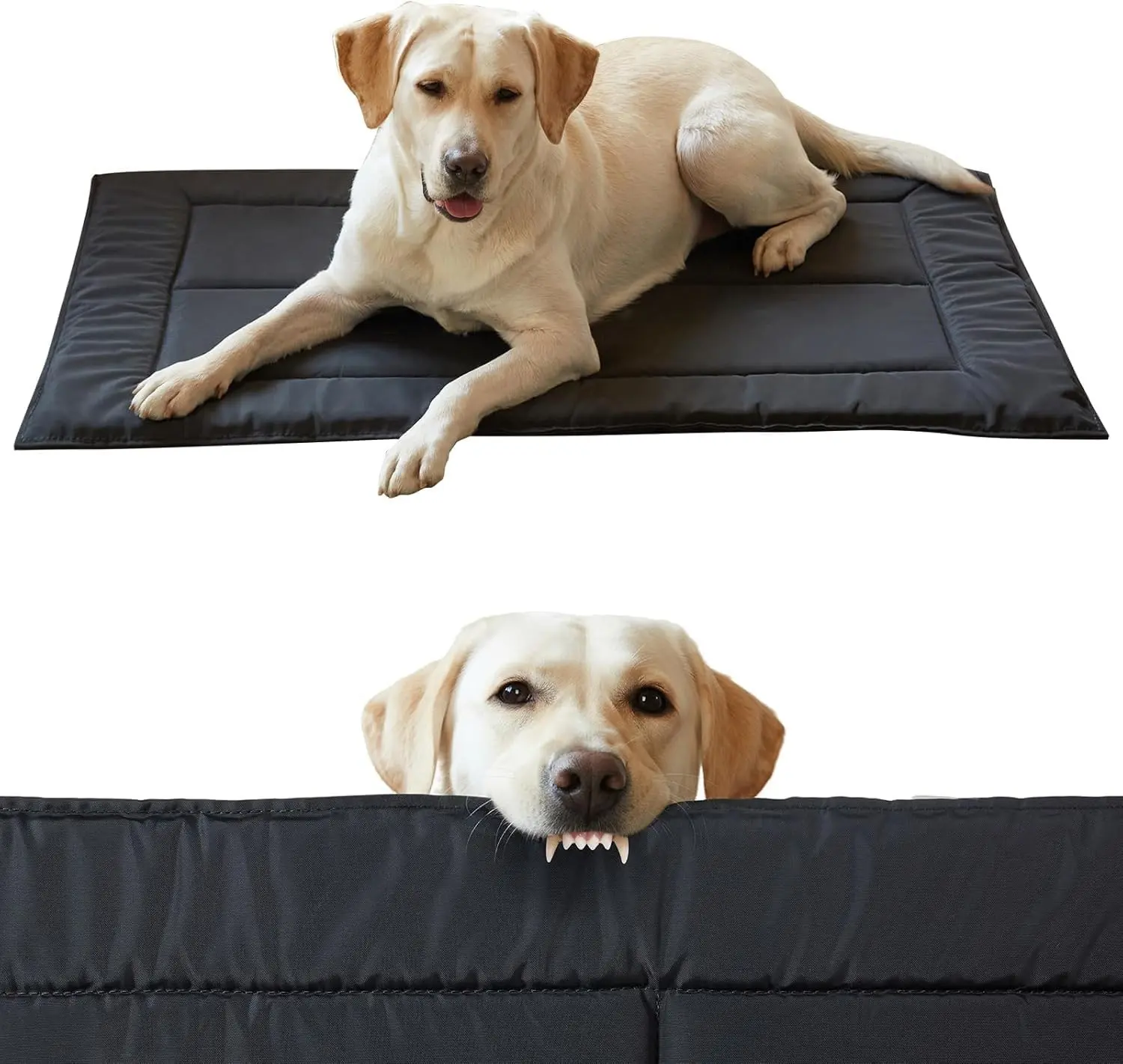 Chew Proof Indestructible Dog Bed, Durable Dog Crate Pad for Aggressive Chewers, Chew Resistant Fabric with Soft 1” 30D Foam Support, Tough Kennel Pad (Black, Small 18"x29")