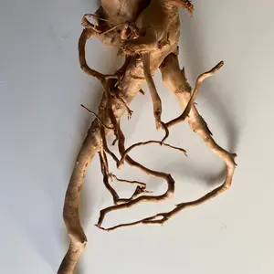 Tofu's Tanks Assorted Spiderwood Driftwood-Natural wood decor for Aquariums, Terrariums, Vivariums, & more!