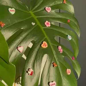 Valentines Plant Magnets - Handmade Charm for Plant Lovers Special Edition Valentine's Decorative Magnets for Plant Leaves