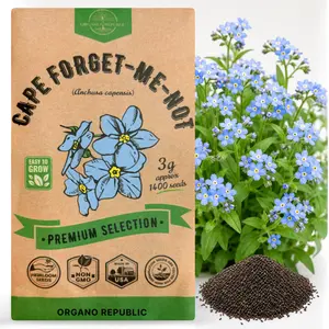 Cape Forget-Me-Not Seeds Pack 3G