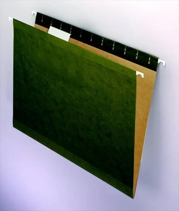 Pendaflex Hanging File Folder Pack - 25 Letter-Size, 11-pt Medium Weight Coated Tips Stock, 0.3 Cut, Extra Capacity, Acid-Free and PVC-Free Office Filing Supplies