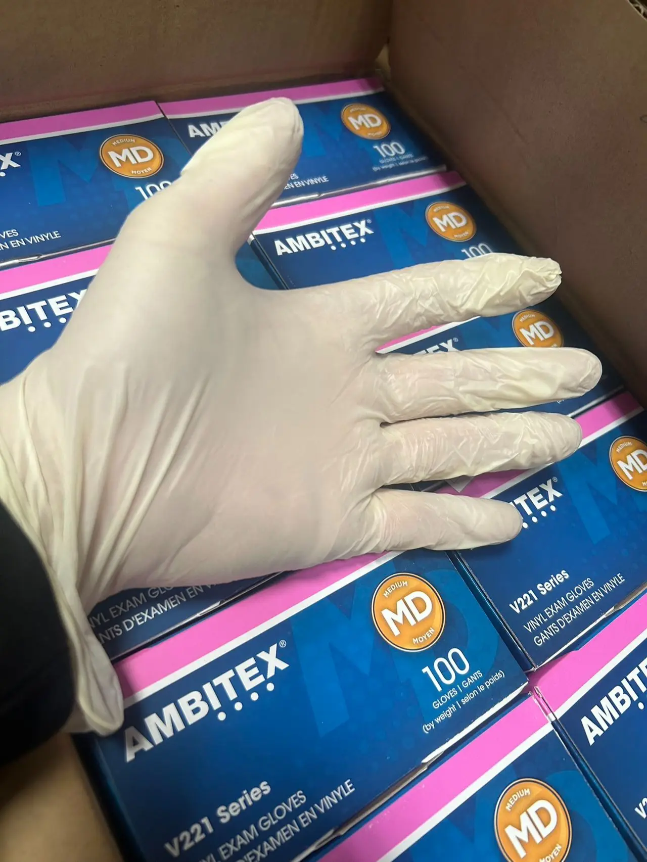 V221 Medium Size Powder-Free Vinyl Gloves - 100 / CT