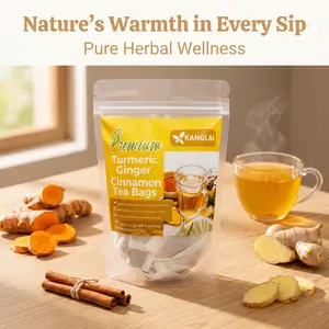 Turmeric Ginger Cinnamon Herbal Health Tea Bags, 60-Count Value Pack (2g/Bag, 120g Total), 100% Natural No Additives, Vegan Keto-Friendly Herbal Beverage