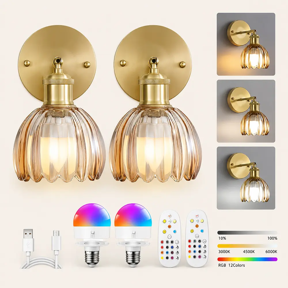 Vintage Battery-Operated Wall Sconce Set of 2, Glass Lampshade Rechargeable LED Wall Light with Remote, RGB Dimmable for Bedroom Bedside, Living Room, Includes 2 Rechargeable Bulbs
