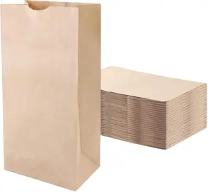 Brown Bag 2-100 count, 2lb Brown Paper Bags - Brown Bags - 100 count (Pack of 1)