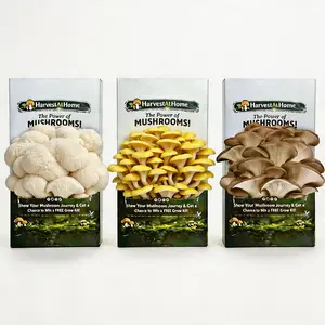 3-Pack HarvestAtHome Organic Oyster Mushroom Kit 3.5lb - Fast Growing 1-7 Days, Visual Growth Experience, Edible & Fun for Adults & Kids, Made in USA