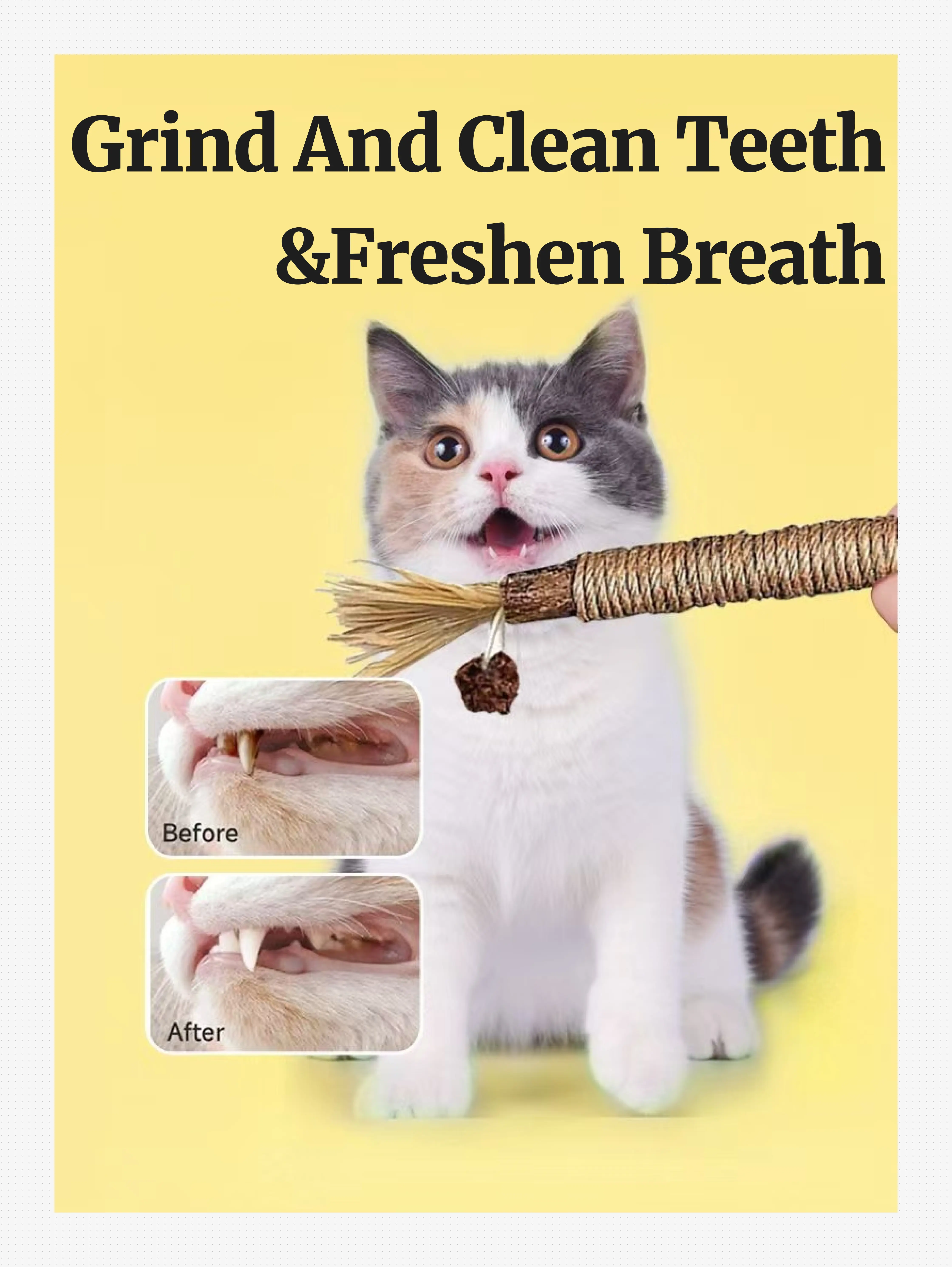 4/6 Piece Natural Silver Vine Stick Cat Toys, Pet Herb Silver Vine Mix Sticks, Kitten Chew Toys for Teeth Cleaning, Cat Dental Care, Expendable Kitten Licking Toys