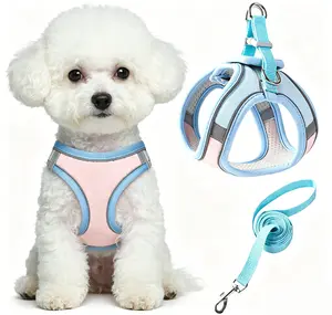 Dog Harness and Leash Set, No Pull Soft Mesh Pet Harness, Reflective Adjustable Puppy Vest for Small Medium Large Dogs, Cats (Pack of 1)