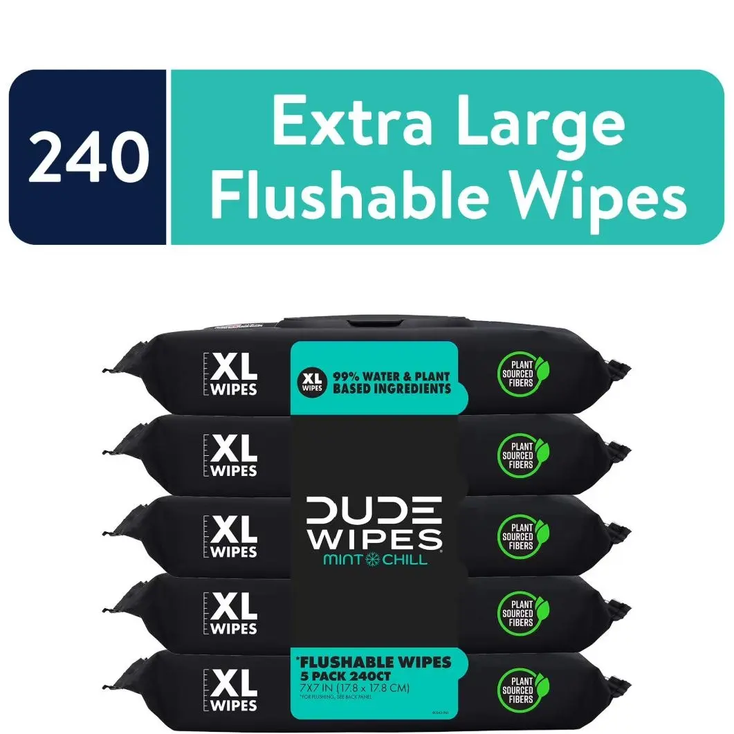 Choose Your Scent | DUDE Flushable Wipes, XL Wet Toilet Wipes,Extra Large Mint Chill Wet Wipes, 48 Count, 5 Pack (240 Total) extra-large adult wet