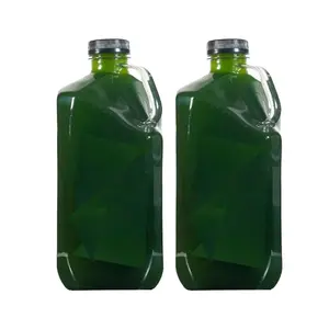 LIVE Phytoplankton Tetra - 1/2 Gal! - Fast Shipping! - Premium Phyto!