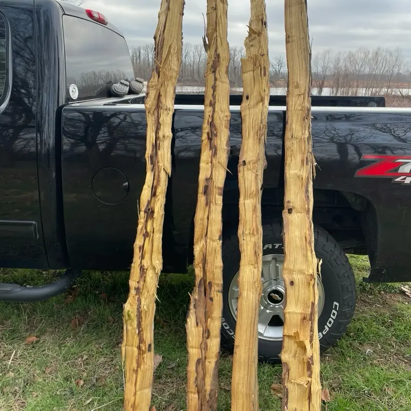 Osage Orange Bow Stave | Premium Self Bow Wood | Traditional Archery Bow Making Blank