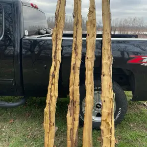 Osage Orange Bow Stave | Premium Self Bow Wood | Traditional Archery Bow Making Blank