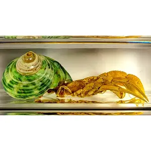 74mm Real Wrinkled Hermit Crab in Crystal Clear Lucite Resin Specimen Preserved Sea Animals Taxidermy Crafts Collection
