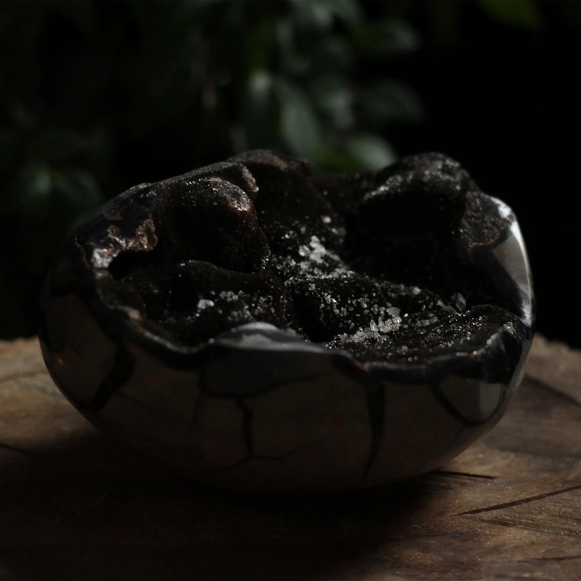 SEPTARIAN HEART