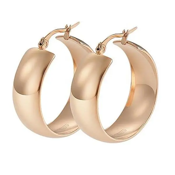 Stately Steel Hinged Hoop Earrings