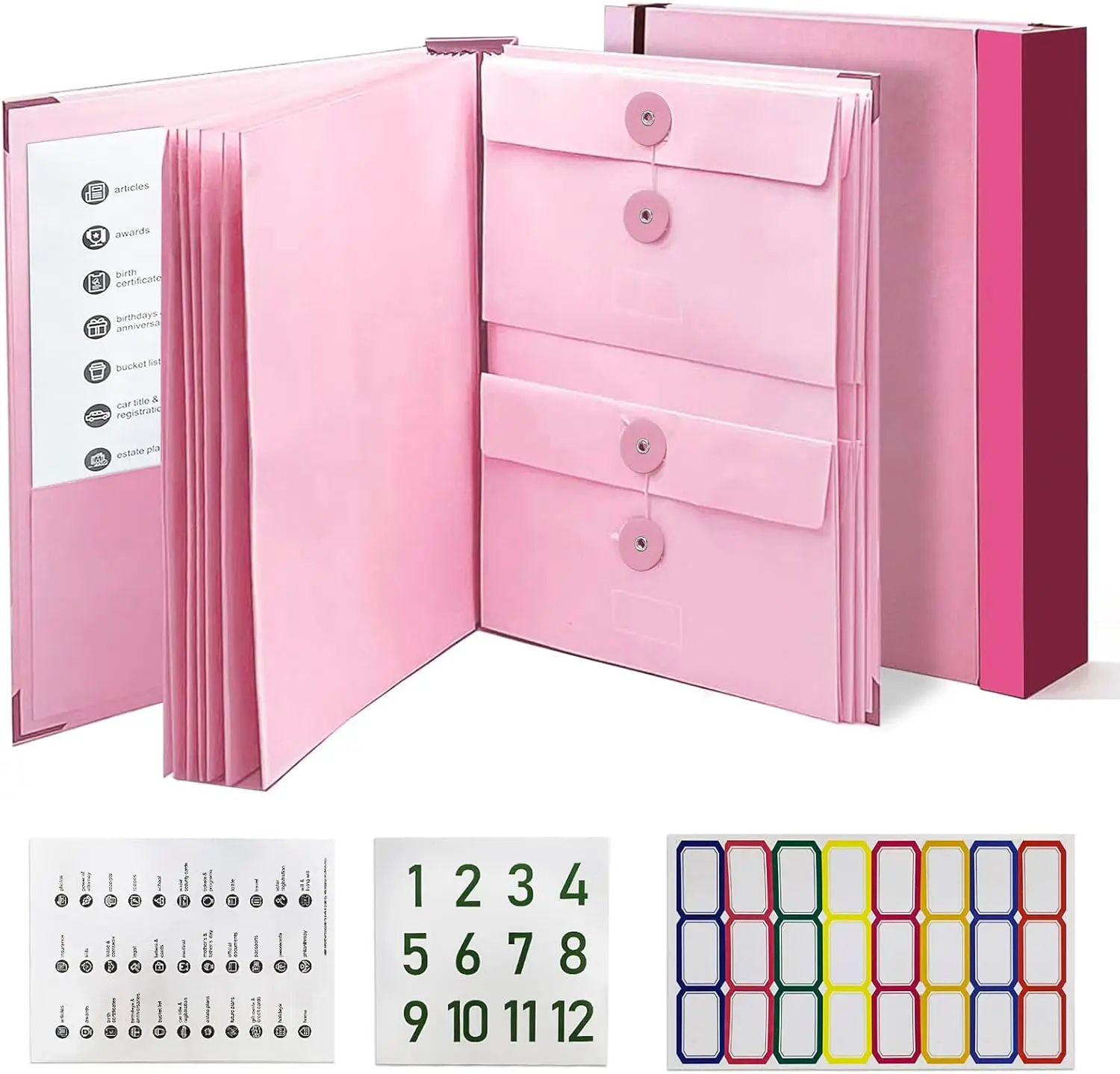 Damage-Resistant Accordion-Fold Office Document Organizer Folder - Minimalist Decluttering Binder with Elastic Pockets, Hand-Labeled Tabs, for Birth Certificates, Passports (Contemporary Office Use)