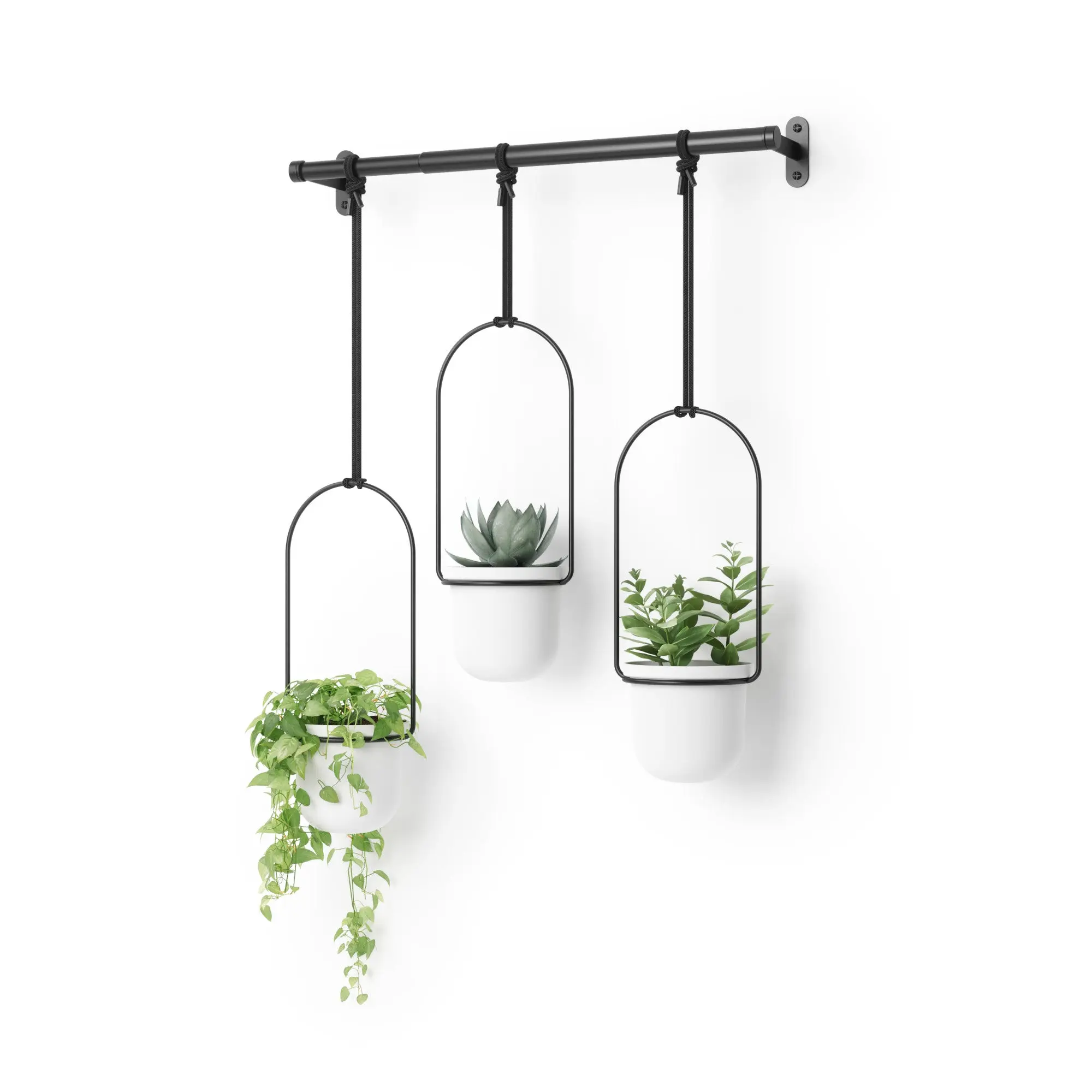Triflora Hanging Planters - Set of 3 for Indoor Gardening Triflora Hanging Planters - Set of 3 for Indoor Gardening