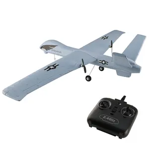 RC Airplane Predator Plane 20mins Flying Glider Hand Throwing 2.4G 2CH Wingspan Foam Plane