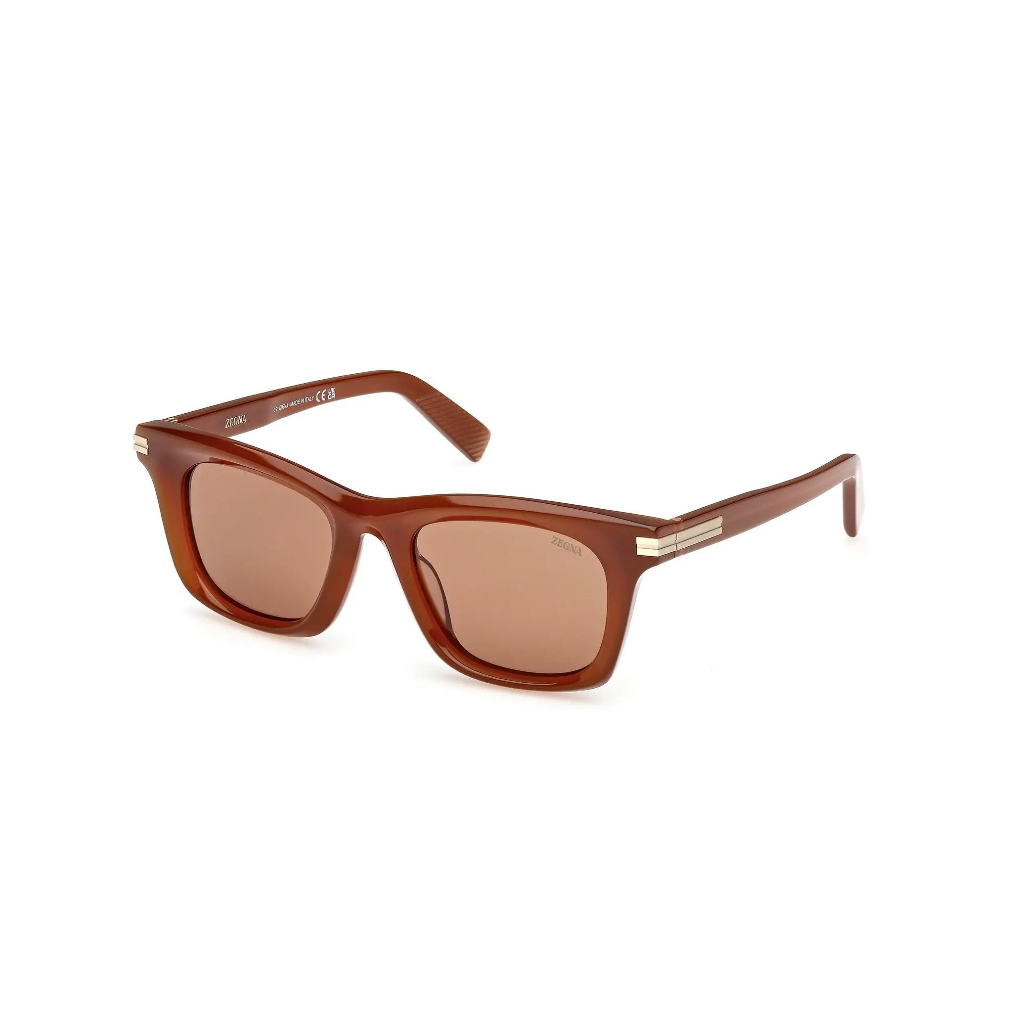 Zegna EZ0270