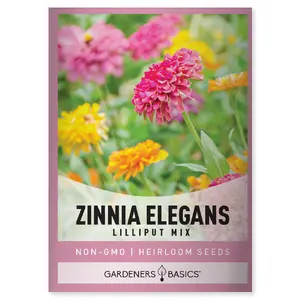 Zinnia Lilliput Mix Seeds