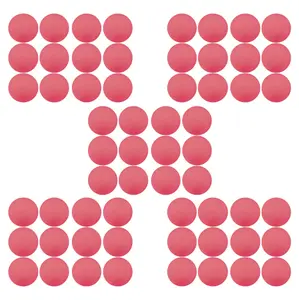 Champion Sports 60 Soft Pink Indoor Practice Lacrosse Balls