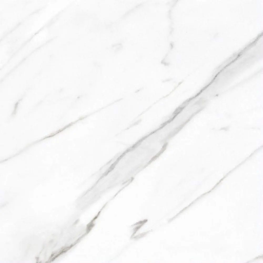 AGL Carrara Matte 24 x 24