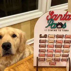 Dog Advent Calendar, Puppy Christmas Countdown Chirstams Decoration