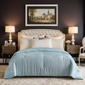 Ultra Soft Light Blue All-Season Comforter | Breathable & Machine Washable Skin-Friendly for All Seasons dreamy duvet bed set luxury king puffed quilt Luxurious Goose Feather Down blanket bedding  comfortable size insert scandinavian sleep method