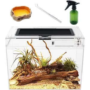 Mini  Terrarium,12" x 7"x 9"  Tank with Full View Visually Appealing,for ,Fish,Tarantula,Hermit crab,Jumping spider,Iguana,Tortoise,Leopard Gecko,Frog,Bearded dragon