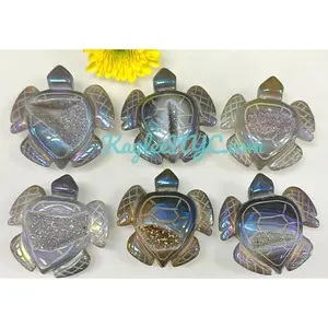6 PCs Aura Druzy Agate Turtle Healing Energy