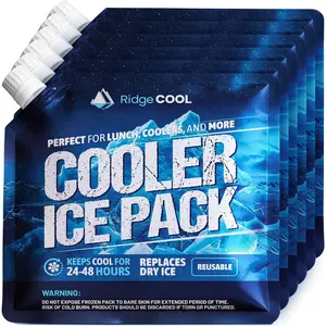 Reusable Ice Packs for Cooler and Lunch Boxes, 6 Pack Long Lasting Freezer Packs, Keeps Cold for 24–48 Hours, Replaces Dry Ice, Leak-Proof, BPA Free, Food Safe, 10 x 10 inches