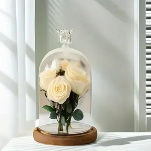 Glass Cloche with Crown Shape, Suitable for Displaying Building Block Gifts and Ornaments, Creative Glass Dome Decorative Bottle (Plants Not Included).