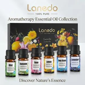 6-Bottle Essential Oil Gift Box – Enhances Sleep, Eases Mental Stress, Ideal for Friends/Relatives & Valentine's Day!