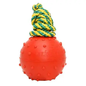 FDT - Water Rubber Dog Ball on String