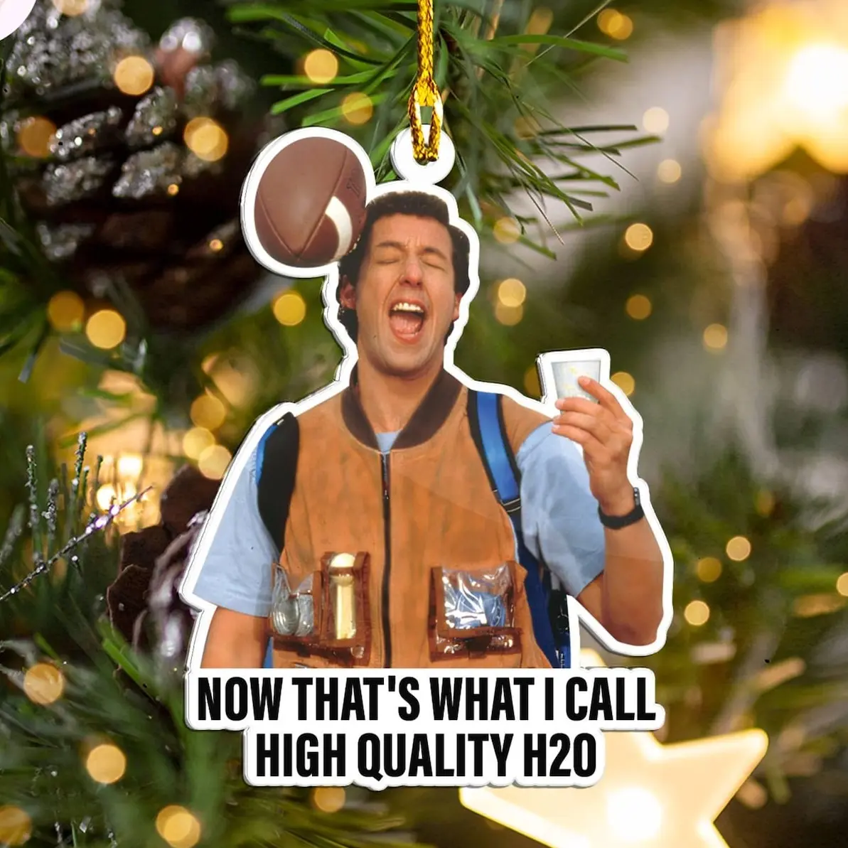 Bobby Boucher Waterboy Acrylic Ornament, High Quality H2O Ornament, Adam Sandler Funny Movie Quote Ornament, Retro Movie Inspired Gifts