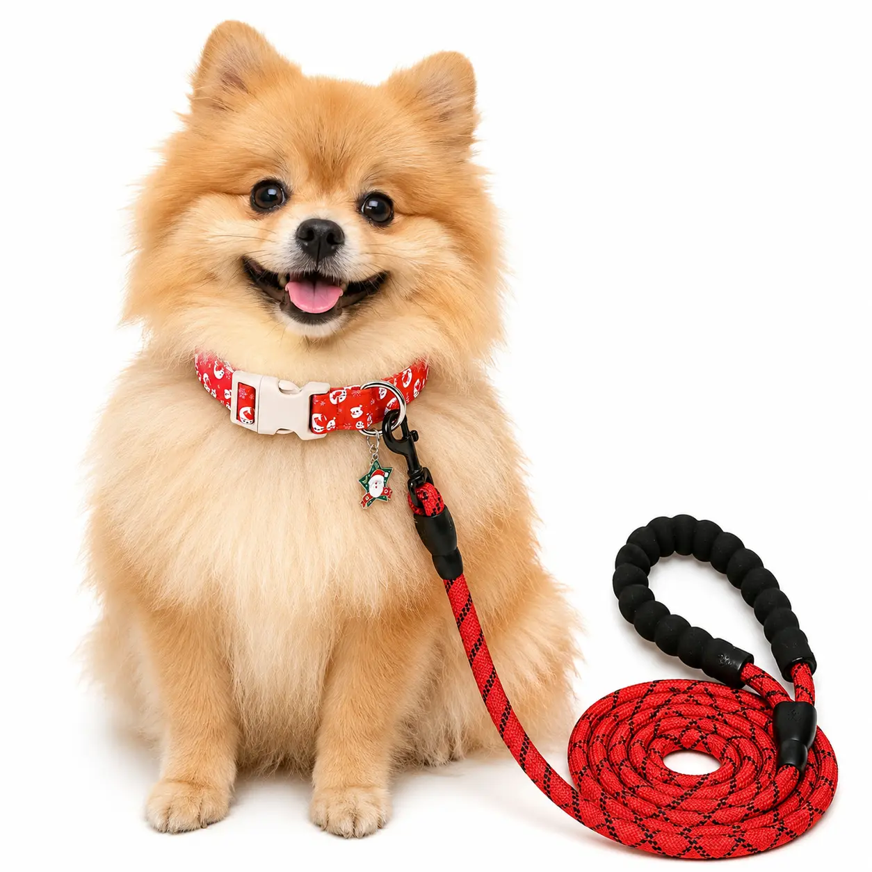Summer Adjustable Dog Collar With Metal Buckle - Durable & Cute Dog Accessories for Small Medium Large Boys Girls Dogs summerwins
