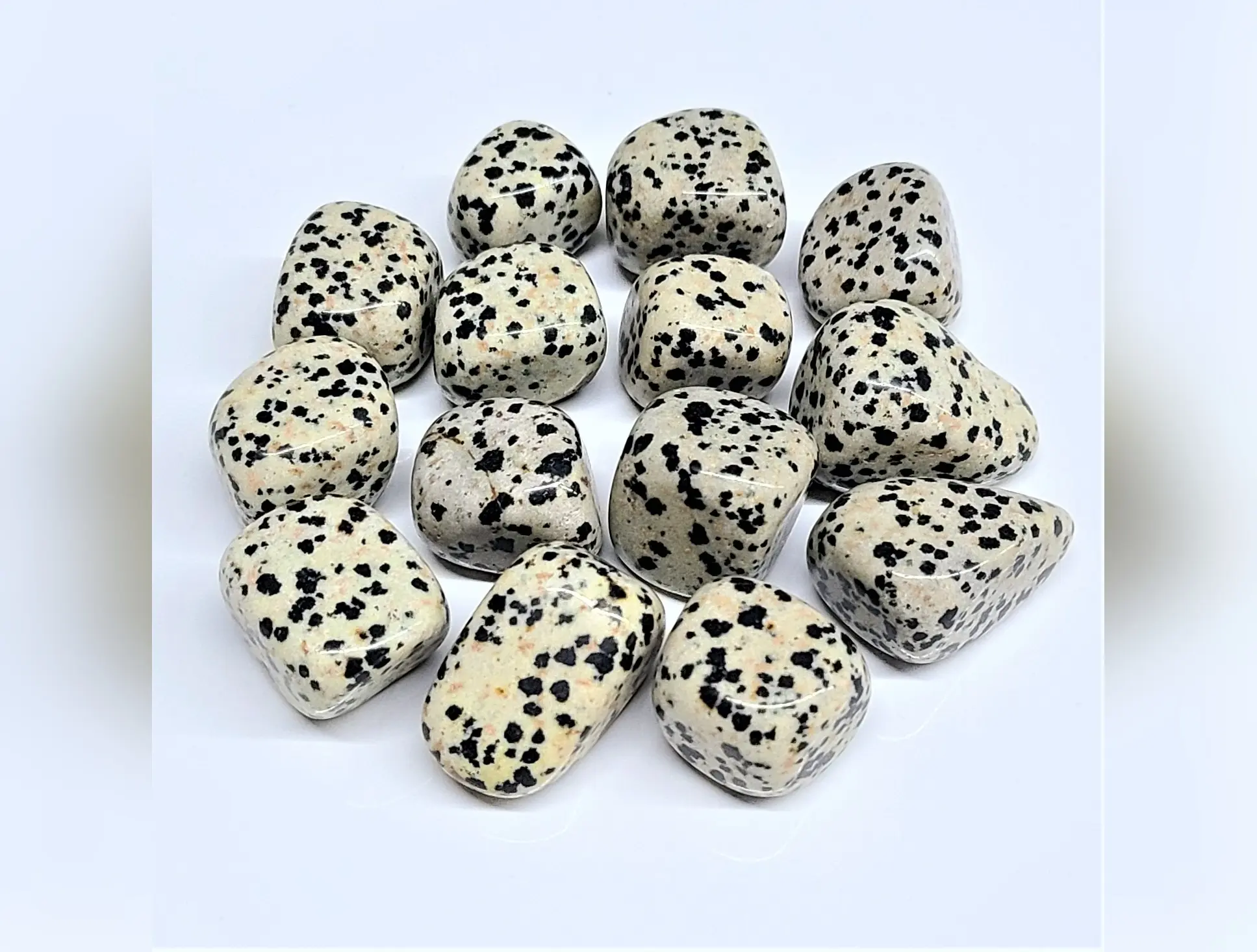 Dalmatian Jasper Tumbled Stone