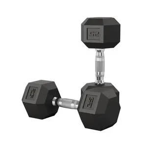 GAOMON 25 LB Hex Dumbbell Set of 2, Hand Weights Dumbbells Pair with Cast Iron Core, Rubber Encased Coating and Textured Carbon Steel Handle for Home Gym Strength Training