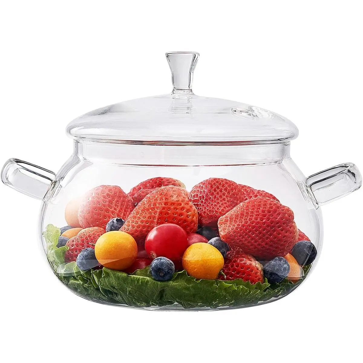 Borosilicate Glass Pot, 2.5 Quart Saucepan With Lid, Microwave, Stove and Dishwasher Safe