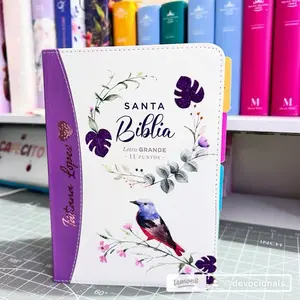 Biblia Reina Valera 1960 (personalizada)