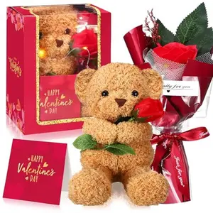 Valentine's Day Gift Set Include Stuffed Animal Bear with Rose Card and Box with Window 8.67″ for Girlfriend Mother Women Birthday Anniversary Wedding