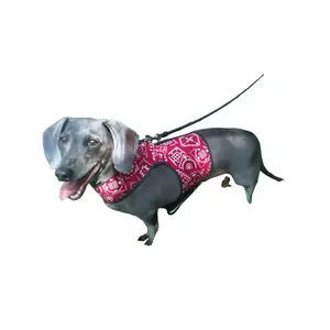 Doggy Holster Small Dog Harness (Made in USA)